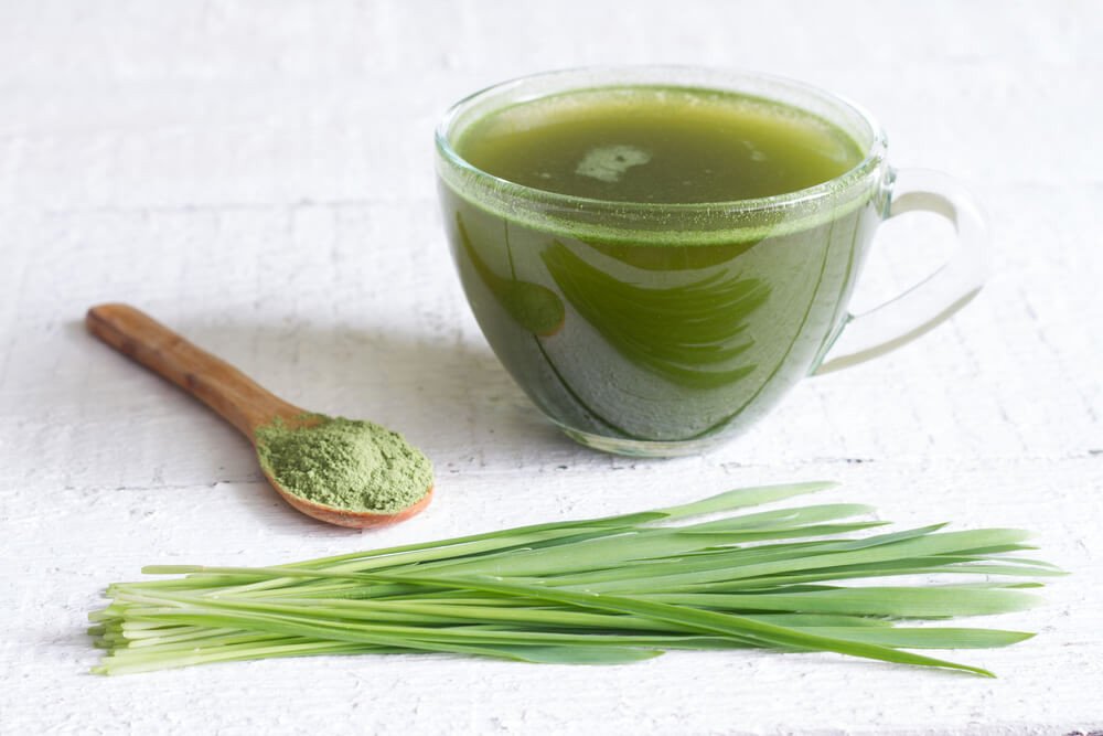 Barley Grass: The Quiet Green That Bridged Ancient Fields and Modern Wellness