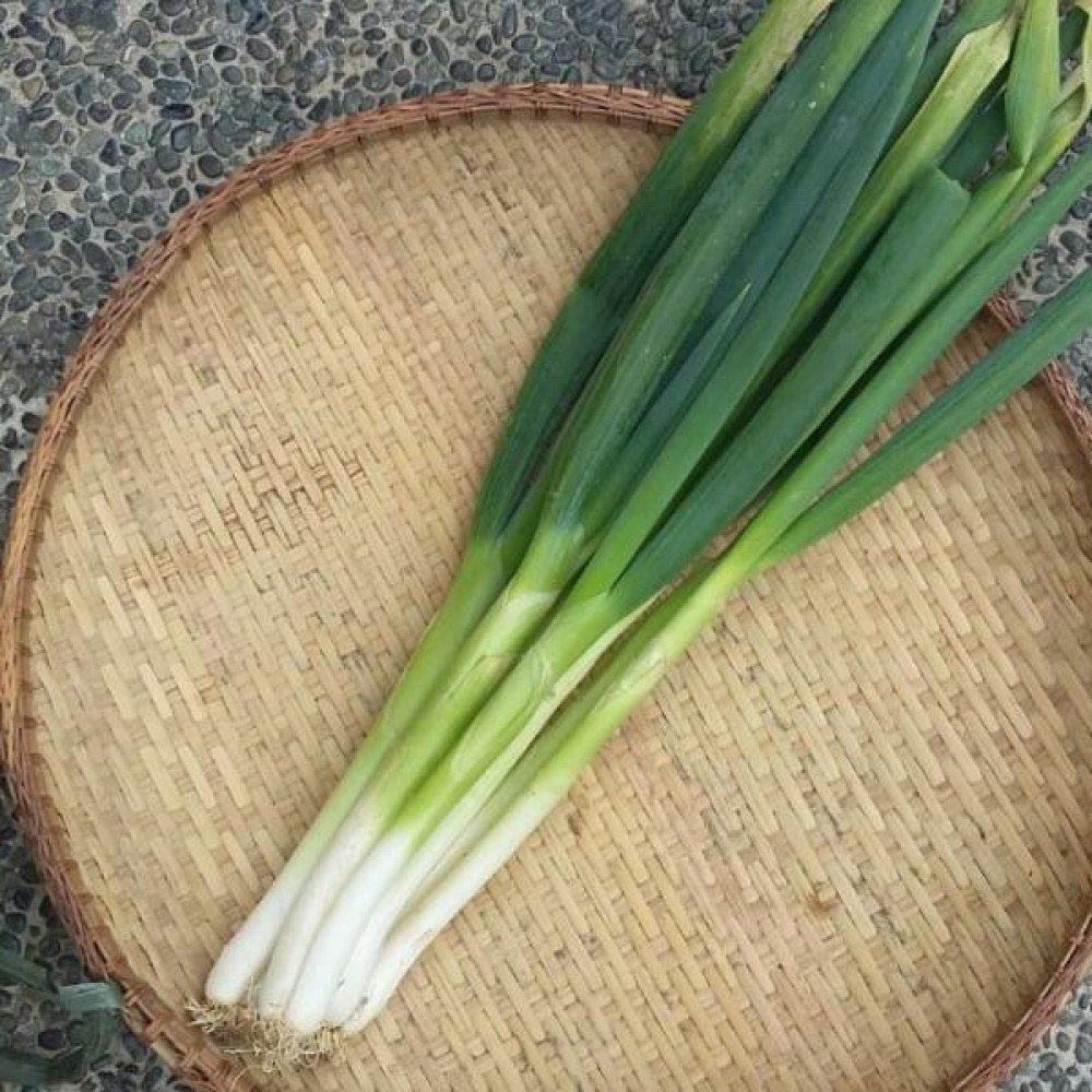 Leeks (siki)