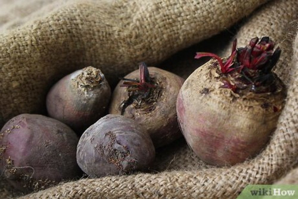 Beetroot (Mizizi ya  Beet)