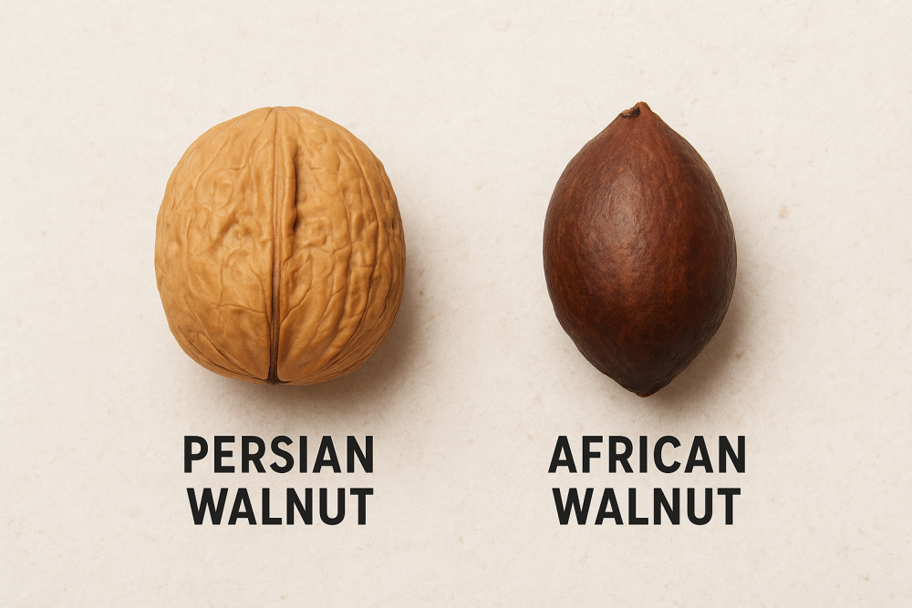 African vs. Persian Walnuts: Nutrition, Culture, and Global Potential